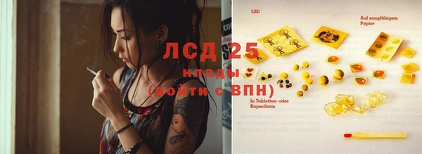 прущие грибы Медвежьегорск