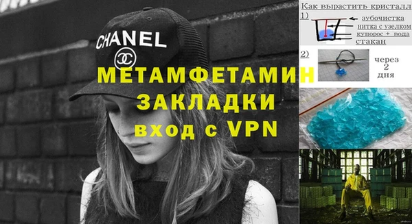 прущие грибы Медвежьегорск