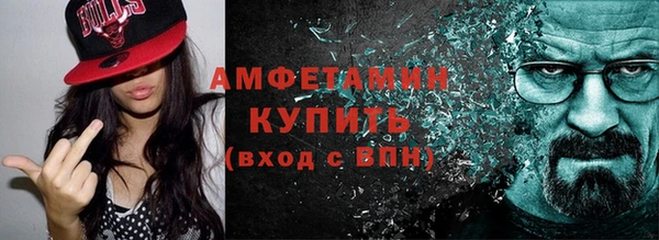 прущие грибы Медвежьегорск