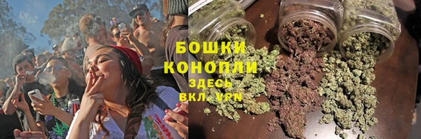 ешки Медногорск