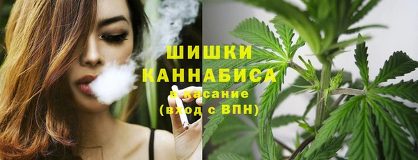 ешки Медногорск