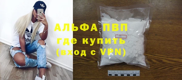 прущие грибы Медвежьегорск
